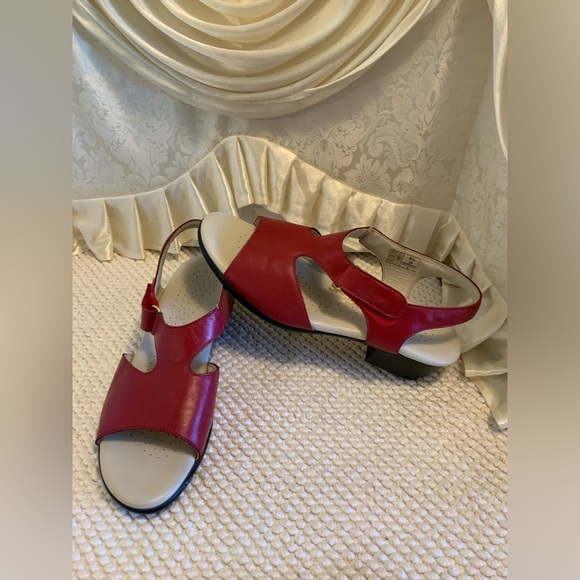 SAS - Picture 2 of 12